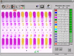 Classification of bacterial cultures by chromatography